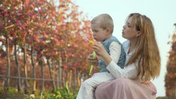 Gelukkige vrijetijdsmoeder met zoon in de zomer. De zoon zit in zijn moeders schoot en maakt zeepbellen in de tuin met een roze bloem. Zachte relatie tussen ouders en kinderen — Stockvideo