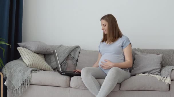 En gravid kvinna i hemkläder sitter på en soffa och använder en bärbar dator. Gravid kvinnlig frilansare. Tredje trimestern av graviditeten. Förberedelse för förlossning och vård av det nyfödda barnet — Stockvideo