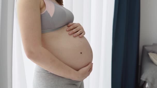 Prévention des vergetures sur l'abdomen. Une femme enceinte tient ses mains sur son ventre. Une peau saine et hydratée sans vergetures pendant la grossesse. Soins de la peau pour les femmes enceintes — Video