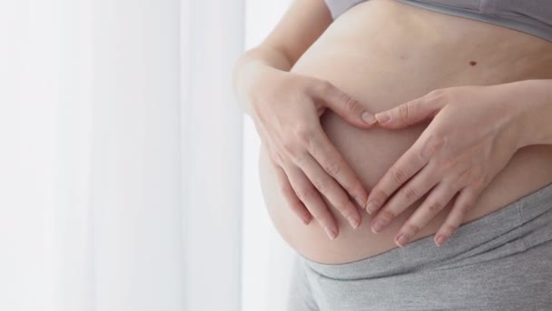 妊娠中の女性は腹に手を差し出している。妊娠中にストレッチマークなしで健康な保湿肌.妊娠中の女性のスキンケア。腹部のストレッチマークの予防 — ストック動画