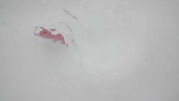 ニューヨーク、アメリカ- 2021年7月1日:ピンクと白のiPhoneが水で満たされた白い浴槽に落ちます。水との接触によるスマートフォンの故障 — ストック動画