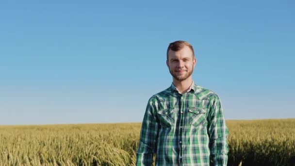 Een jonge boer agronomist met een baard staat in een graanveld onder een helderblauwe hemel. Oogst in de late zomer — Stockvideo