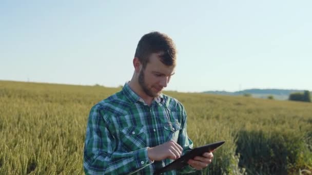 A young farmer agronomist with a beard stands in a field of wheat under a clear blue sky and makes notes in a tablet. Harvest in late summer — Stock Video