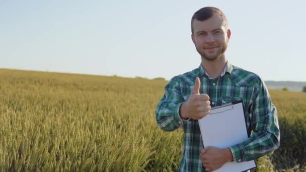 A young farmer agronomist with a beard stands in a field of wheat under a clear blue sky and holds documents in one hand and shows a thumb up with the other hand. Harvest in late summer — Stock Video