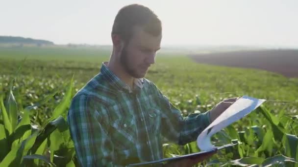 Un jeune agronome barbu étudie la documentation dans un champ de maïs. Exploitation agricole — Video