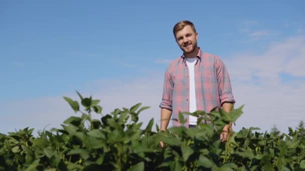 Een jonge boer staat midden in een sojaveld en toont zijn tevredenheid over de oogst — Stockvideo