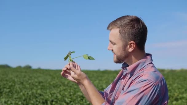 Mladý farmář se podívá na výhonky sóji na svém poli — Stock video
