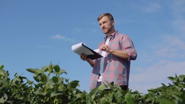 Um jovem agricultor faz anotações em um tablet sobre as peculiaridades do crescimento da soja no campo — Vídeo de Stock