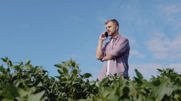 Młody rolnik rozmawia przez telefon na polu sojowym — Wideo stockowe