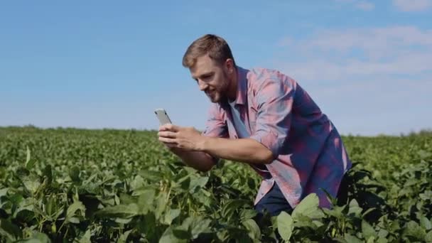 Un jeune agriculteur prend une photo de pousses de soja poussant dans sa ferme — Video