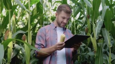 Genç, mutlu bir çiftçi mısır tarlasının ortasında duruyor ve hasat belgelerini inceliyor.