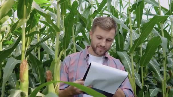 Mladý šťastný farmář stojí uprostřed kukuřičného pole, studuje dokumentaci sklizně a dívá se na kameru — Stock video