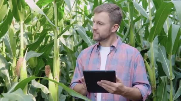 Um jovem agricultor feliz está no meio de um campo de milho e estuda a documentação da colheita — Vídeo de Stock