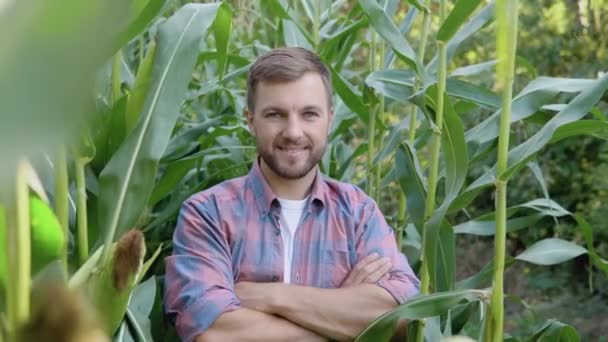 Uprostřed kukuřičného pole stojí mladý šťastný farmář a usmívá se do kamery. Farmář pěstuje ekologickou kukuřici — Stock video