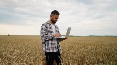 Genç tarımcı, altın olgun buğday tarlasında dikilirken bilgisayarını kullanarak modern teknolojiyle geleneksel tarımı başarılı bir hasat için birleştiriyor.