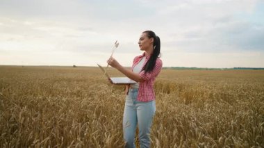 Tarımda modern teknolojiyi kullanan kadın çiftçi, dizüstü bilgisayar tutuyor ve bulutlu bir gökyüzünün altındaki hasat mevsiminde altın bir tarlada olgun buğday kulaklarını inceliyor.