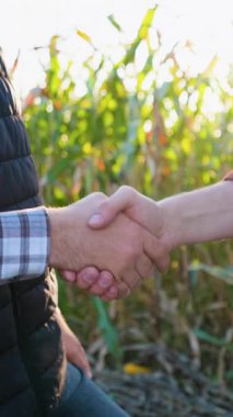 Gün batımında mısır tarlasında tokalaşan iki çiftçiye yaklaş. Tarım ortakları arasında başarılı hasat anlaşması