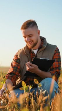 Genç tarım uzmanı soya fasulyesi tarlasında diz çöküp olgun kapsüllerin kalitesini inceliyor ve gün batımında bir panoya not alıyor.
