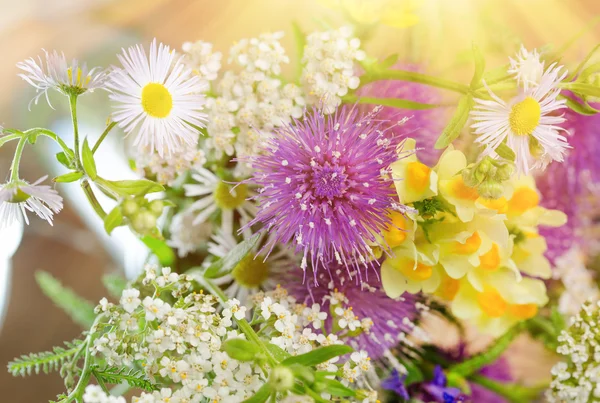 Strauß Frühlingsblumen, von Sonnenstrahlen erhellt — Stockfoto