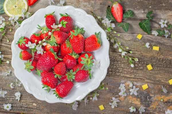 Frische Bio-Erdbeeren auf weißem Teller — Stockfoto