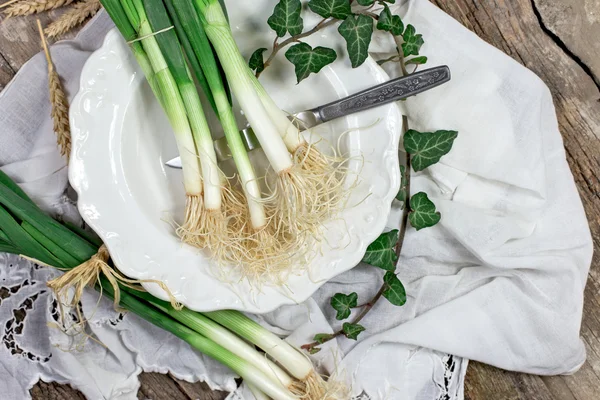 Organic spring onions on plate — Stock Photo, Image