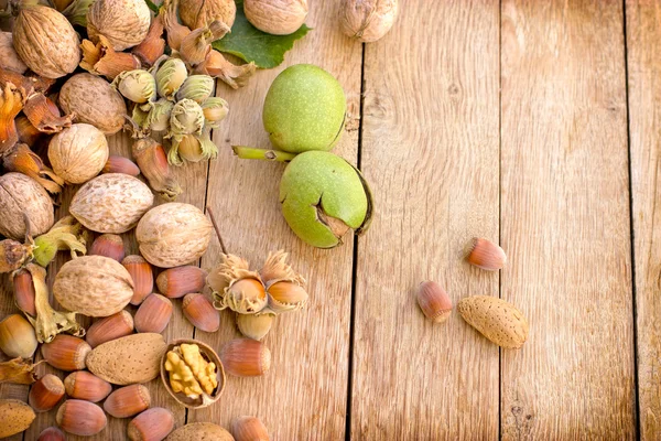 Healthy organic hazelnut and walnut — Stock Photo, Image