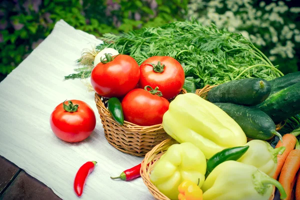 Vegetales frescos de temporada - comer alimentos saludables —  Fotos de Stock