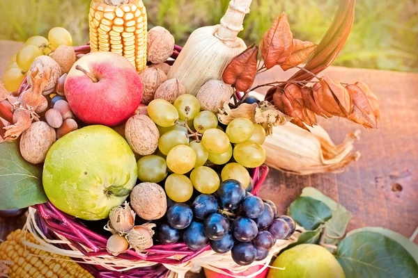 De vruchten van het seizoen, herfst fruit is lekker en gezond eten — Stockfoto