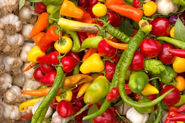 Fresh organic colorful peppers — Stock Photo, Image