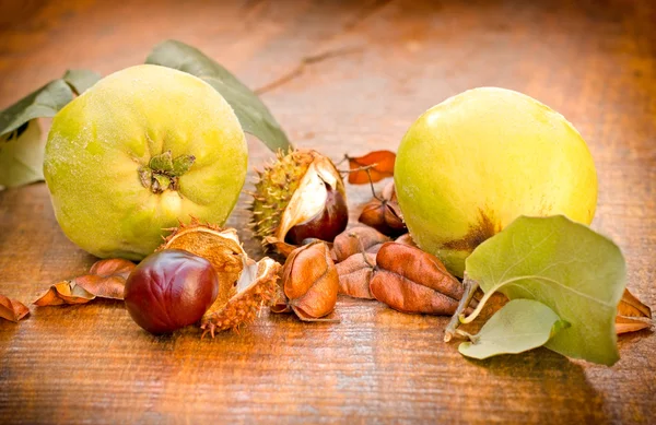 Comer frutos marinhos orgânicos saudáveis — Fotografia de Stock