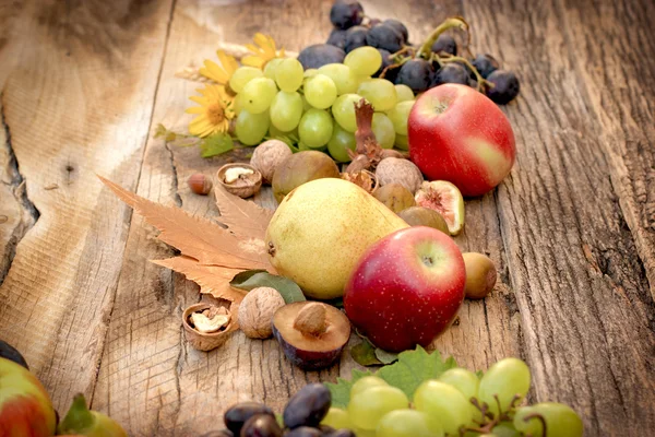 Eating healthy organic seosanal fruits — Stock Photo, Image