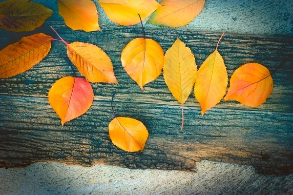 Πέσει φθινόπωρο αφήνει σε ρουστίκ ξύλινα φόντο — Φωτογραφία Αρχείου