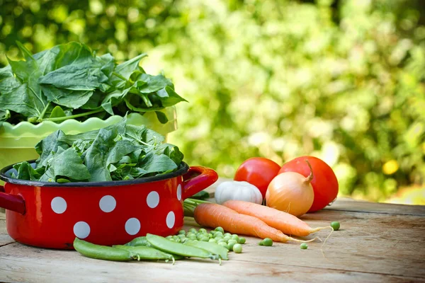 Espagnol Bio Frais Pot Sur Table Aliments Bio Sains — Photo