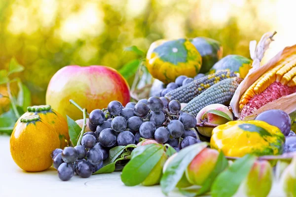 秋の有機性果物と野菜 — ストック写真