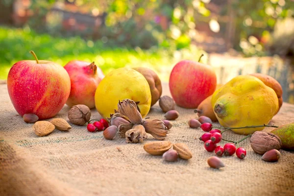 Podzimní plody na stole — Stock fotografie