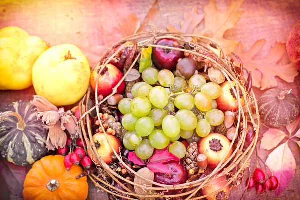 Raccolta autunnale - frutta e verdura autunnali — Foto Stock