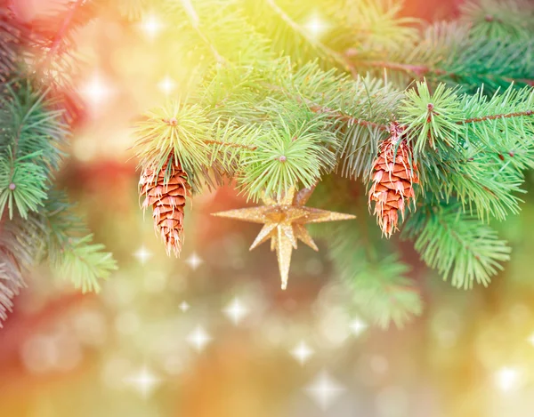 Tannenzapfen und Weihnachtssymbole am Weihnachtsbaum - im Freien — Stockfoto