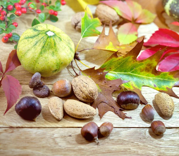 Herfst decoratie - herfst oogst — Stockfoto