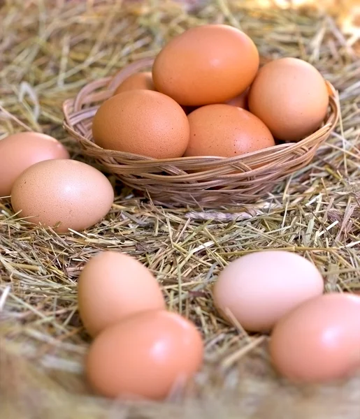 Organic eggs — Stock Photo, Image