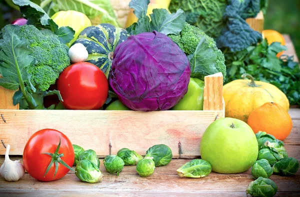 Healthy organic vegetables — Stock Photo, Image