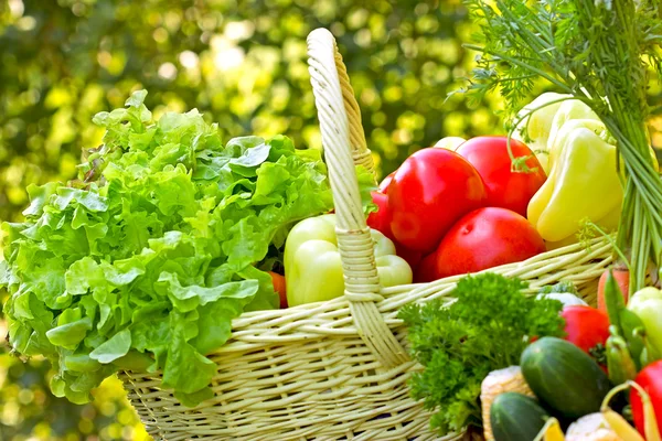 Verduras orgánicas frescas — Foto de Stock