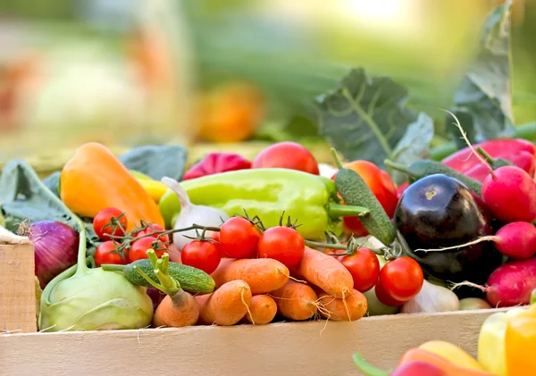 Produtos hortícolas biológicos frescos — Fotografia de Stock