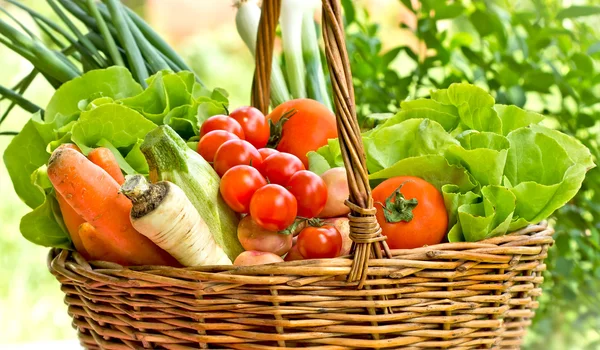 Verduras orgánicas frescas en canasta de mimbre (clos-up ) —  Fotos de Stock