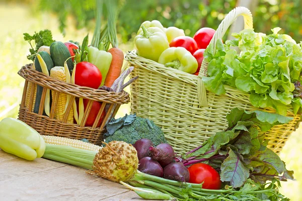 Alimentos saudáveis - produtos hortícolas biológicos — Fotografia de Stock