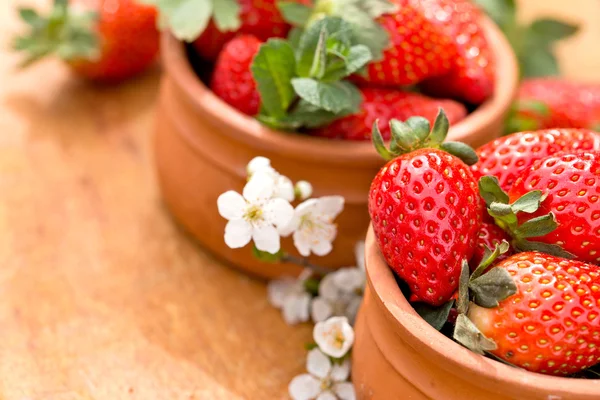 Organic strawberries in bowl — Stock Photo, Image