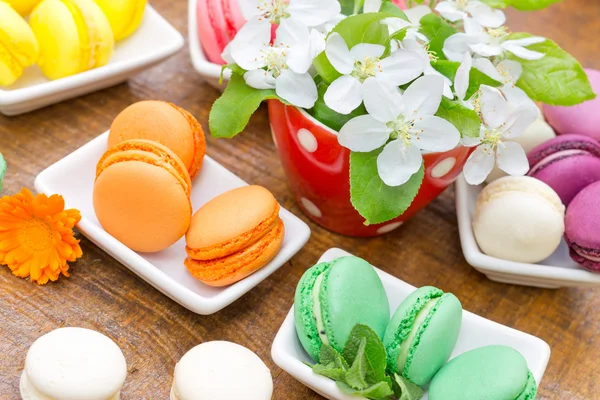 Färgglada välsmakande fransk mandelbiskvier - macarons — Stockfoto