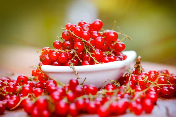 Organic red currant close-up — Stock Photo, Image