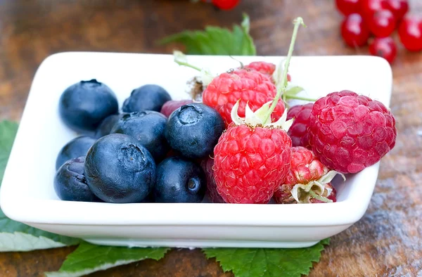 Berry fruits close-up — Stock Photo, Image