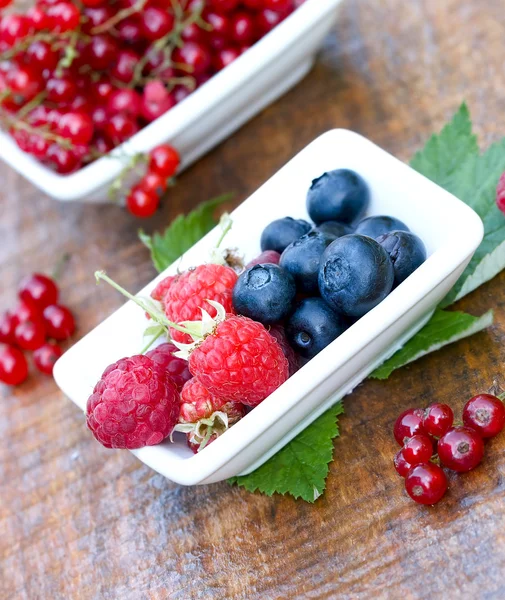 Berry fruits close-up — Stock Photo, Image