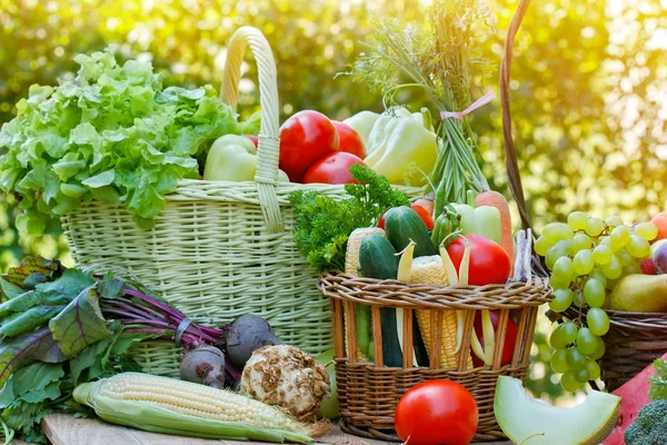 Organic vegetables — Stock Photo, Image